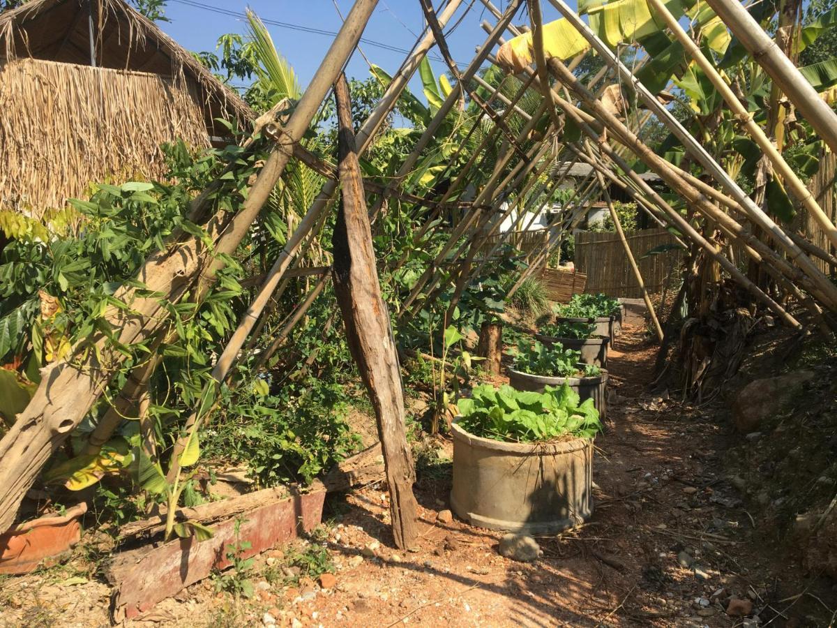 Thong Family Homestay Chiangdao Chiang Dao Luaran gambar